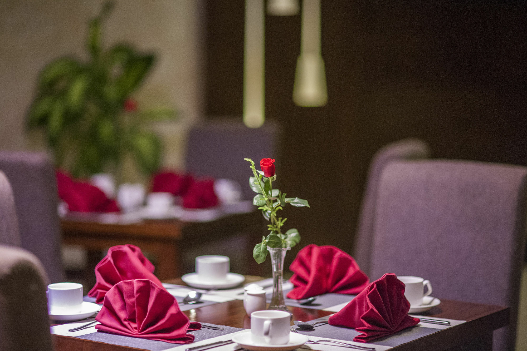 Muong Thanh Grand Quang Tri Hotel Экстерьер фото